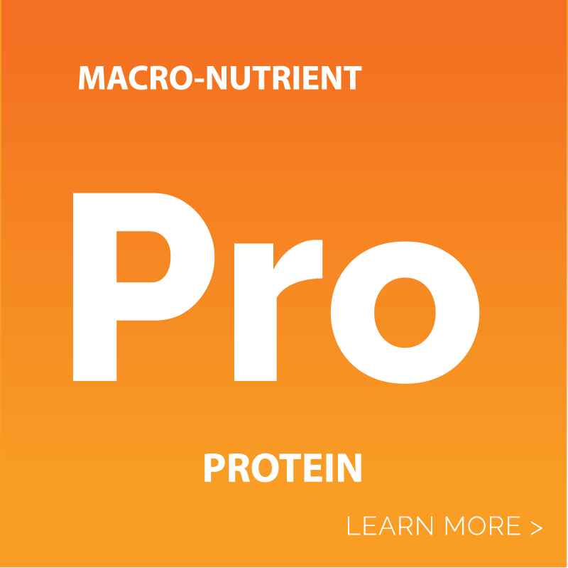 Protein