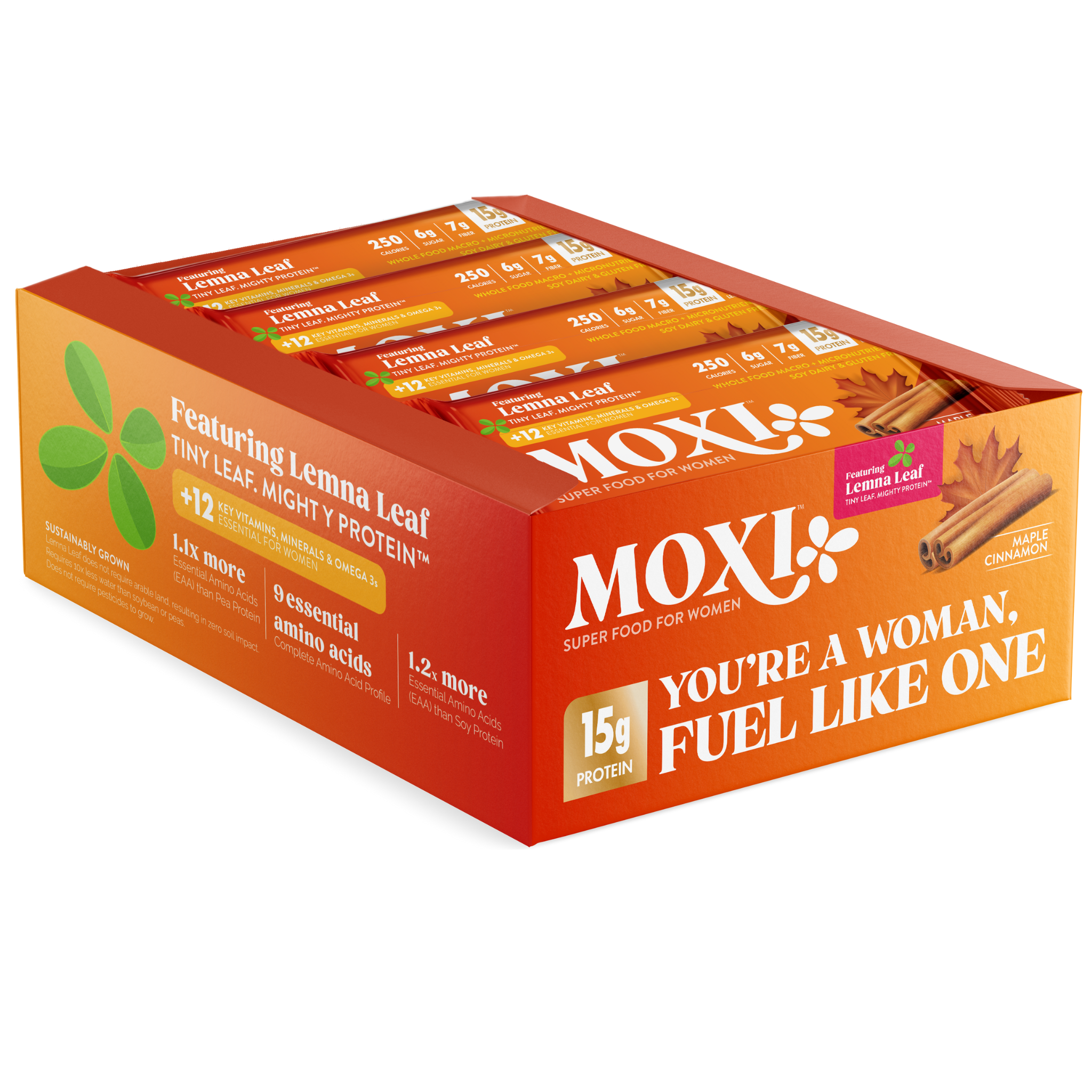 Maple Cinnamon Protein Bar