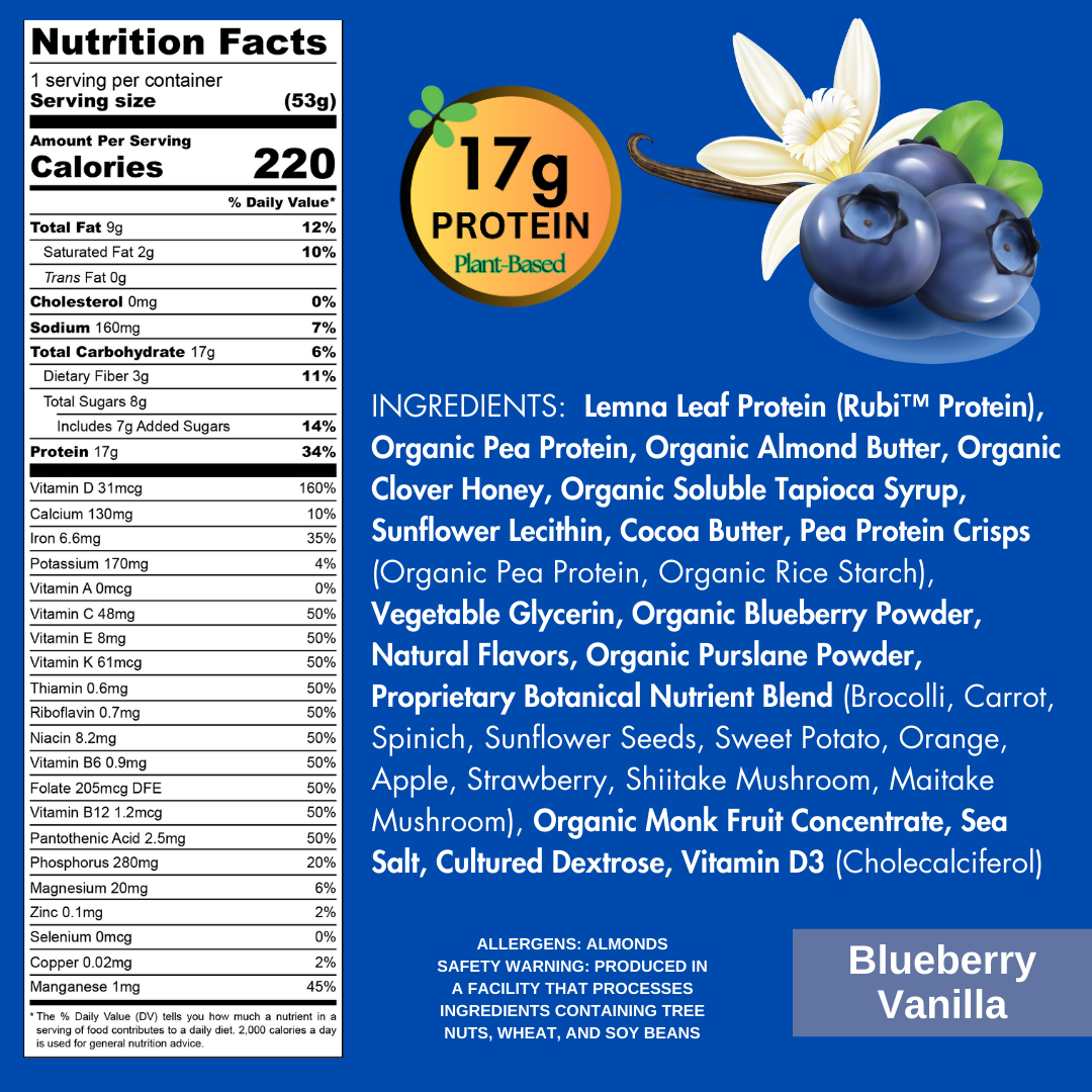 Blueberry Vanilla Protein Bar